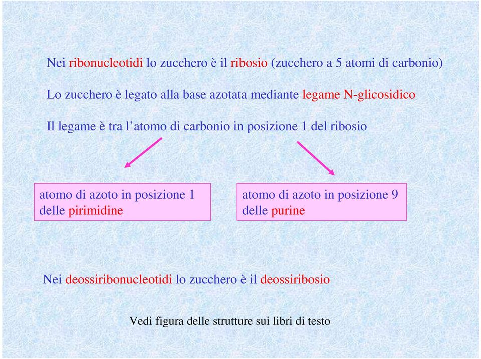 del ribosio atomo di azoto in posizione 1 delle pirimidine atomo di azoto in posizione 9 delle