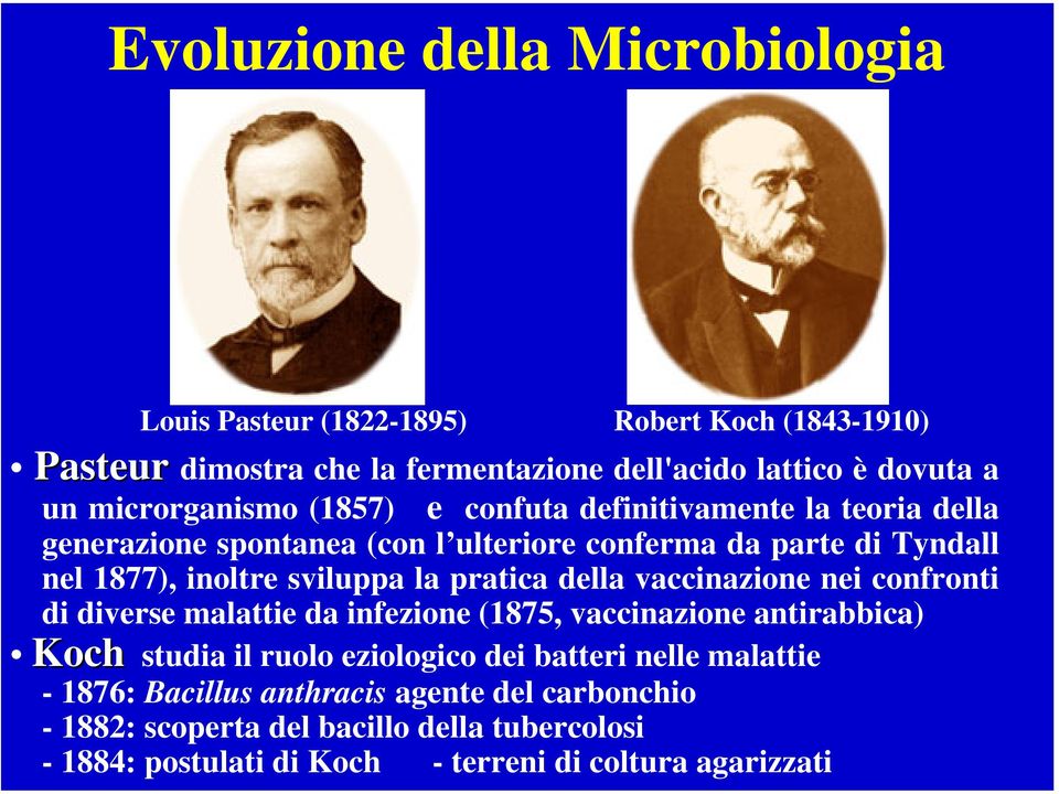 pratica della vaccinazione nei confronti di diverse malattie da infezione (1875, vaccinazione antirabbica) Koch studia il ruolo eziologico dei batteri nelle