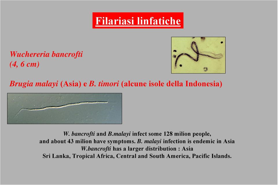 malayi infect some 128 milion people, and about 43 milion have symptoms. B.