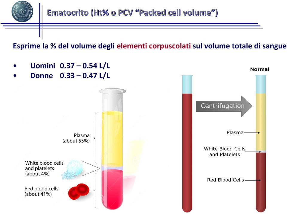 corpuscolati sul volume totale di sangue