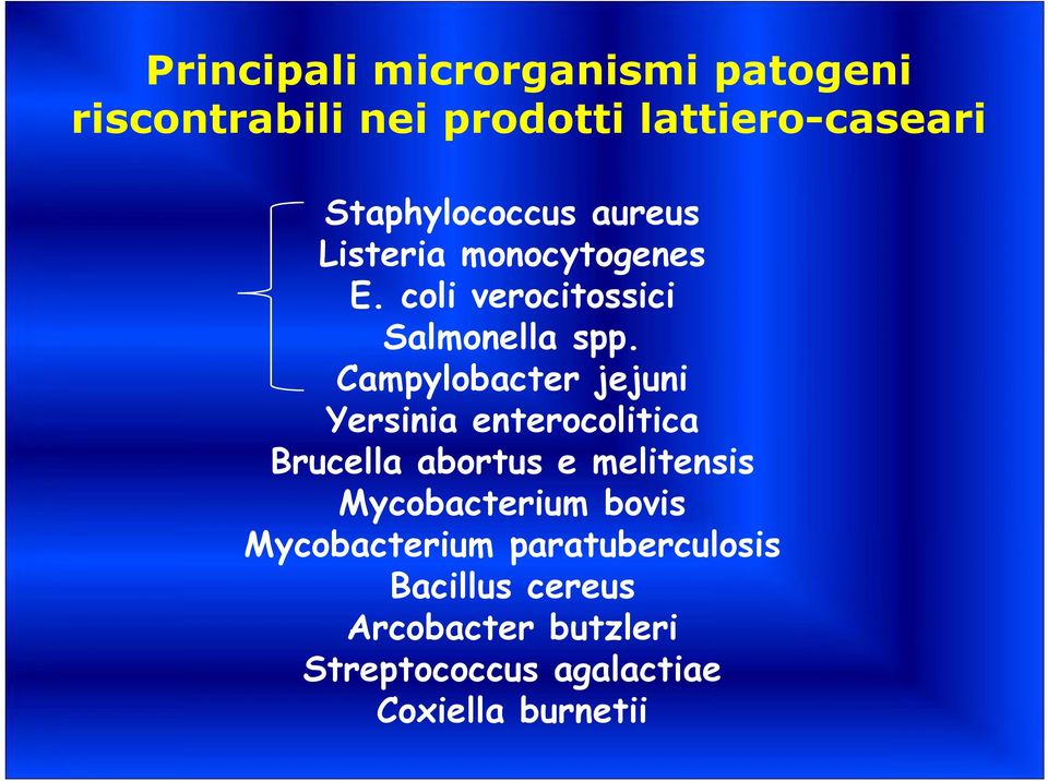 Campylobacter jejuni Yersinia enterocolitica Brucella abortus e melitensis Mycobacterium