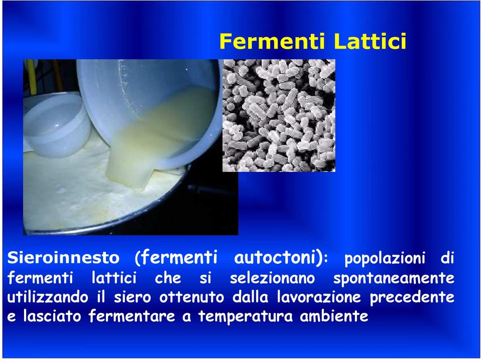 spontaneamente utilizzando il siero ottenuto dalla