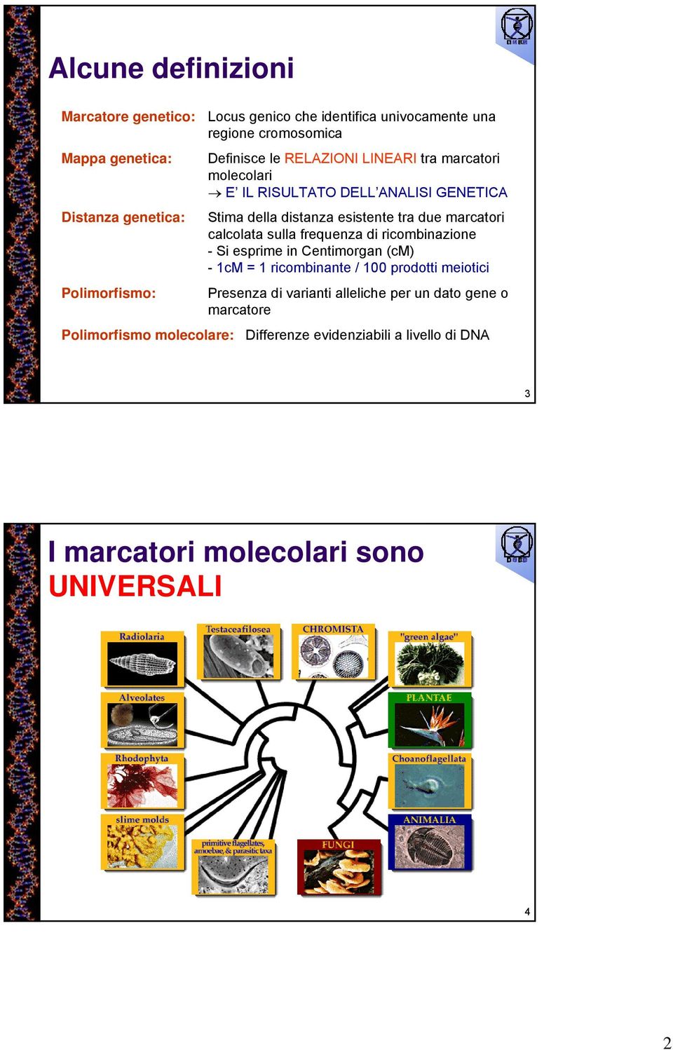 calcolata sulla frequenza di ricombinazione - Si esprime in Centimorgan (cm) - 1cM = 1 ricombinante / 100 prodotti meiotici Polimorfismo: Presenza