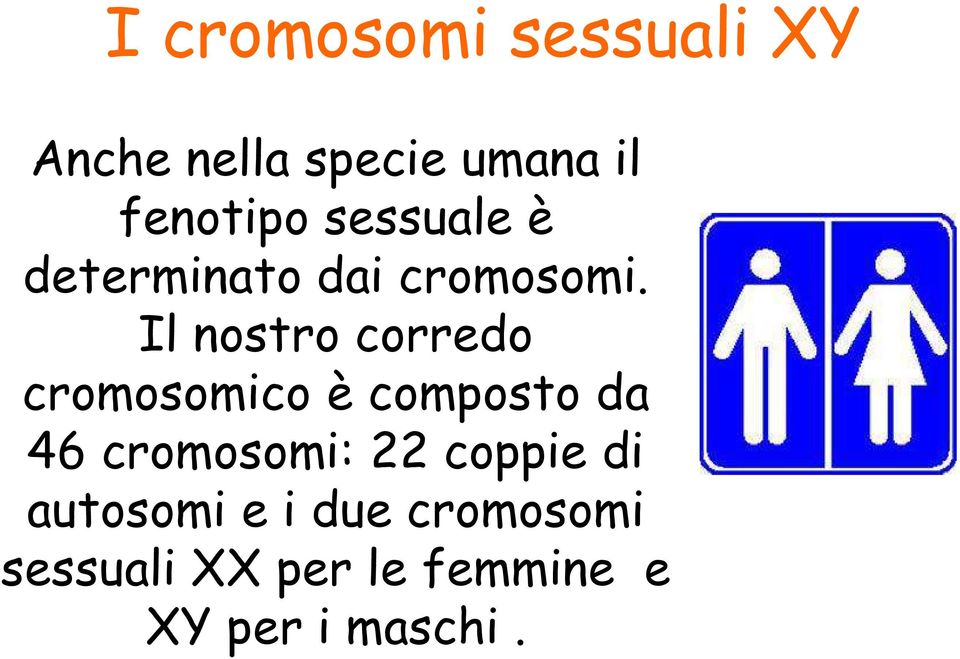 Il nostro corredo cromosomico è composto da 46 cromosomi: 22