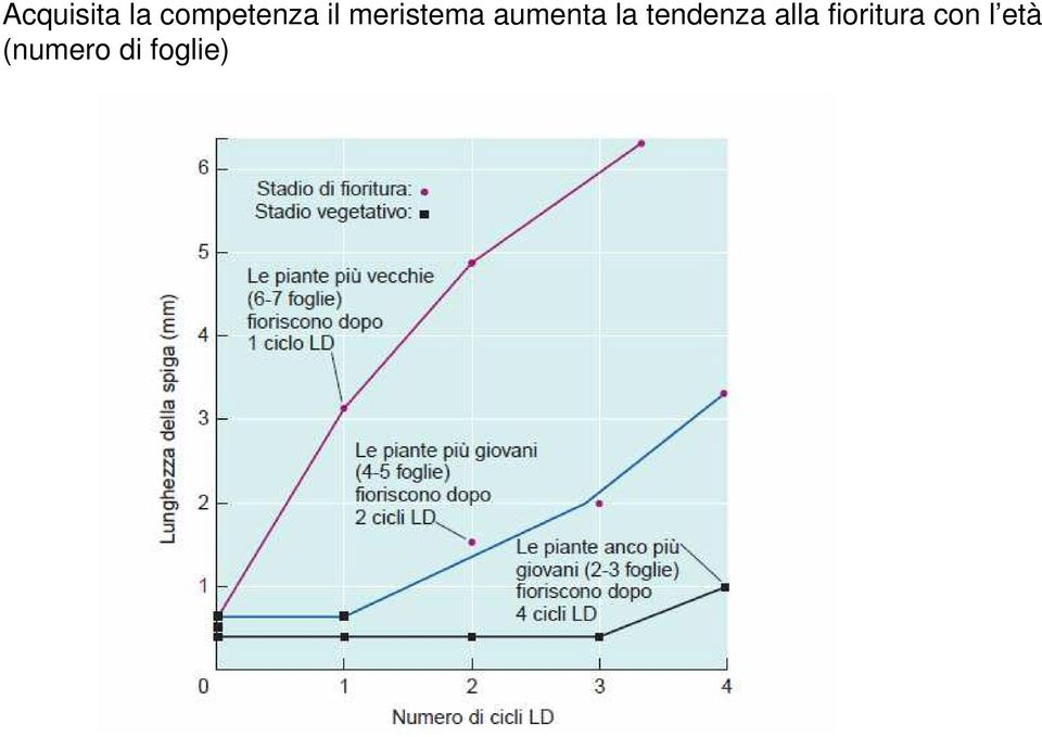 tendenza alla fioritura