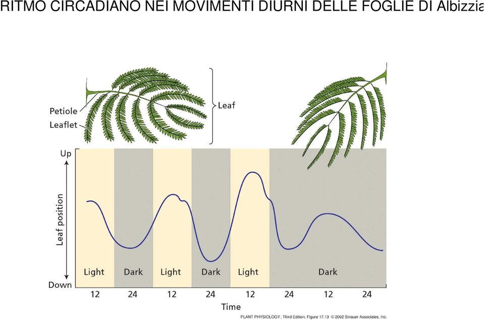 MOVIMENTI