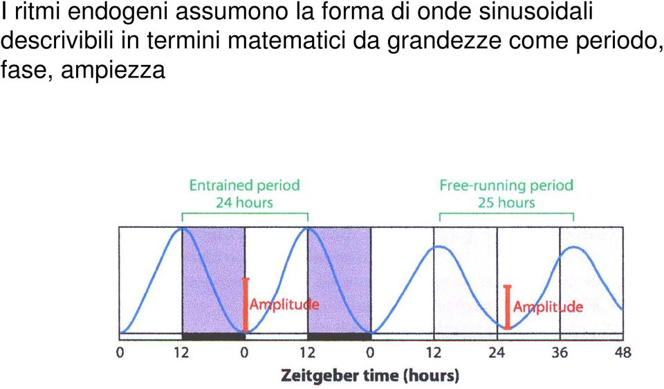 descrivibili in termini