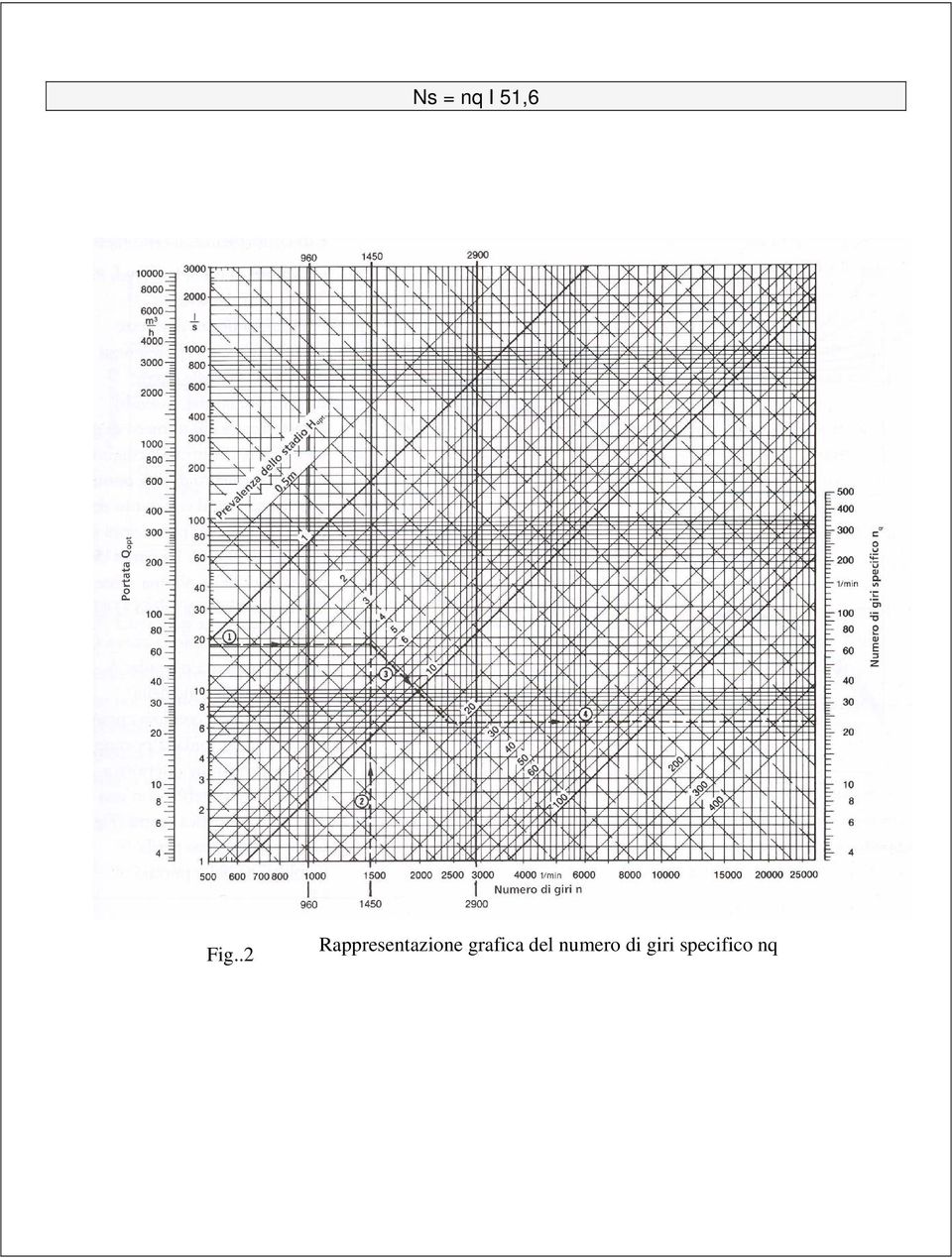 grafica del numero