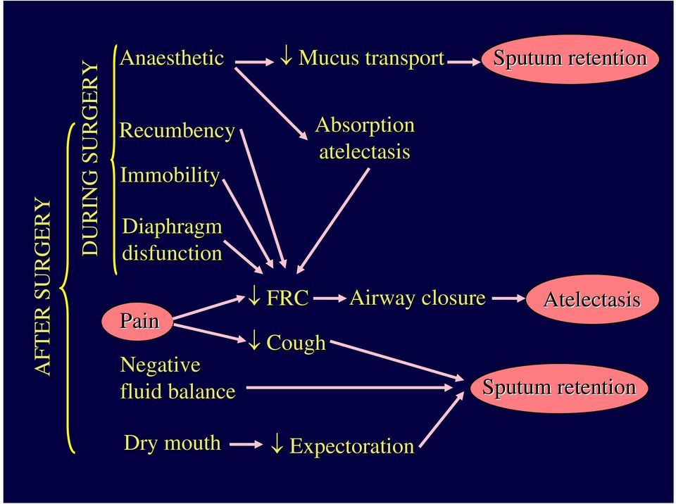 FRC Mucus transport Cough Absorption atelectasis Airway