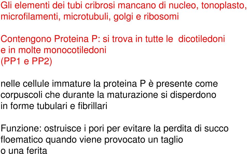 immature la proteina P è presente come corpuscoli che durante la maturazione si disperdono in forme tubulari e