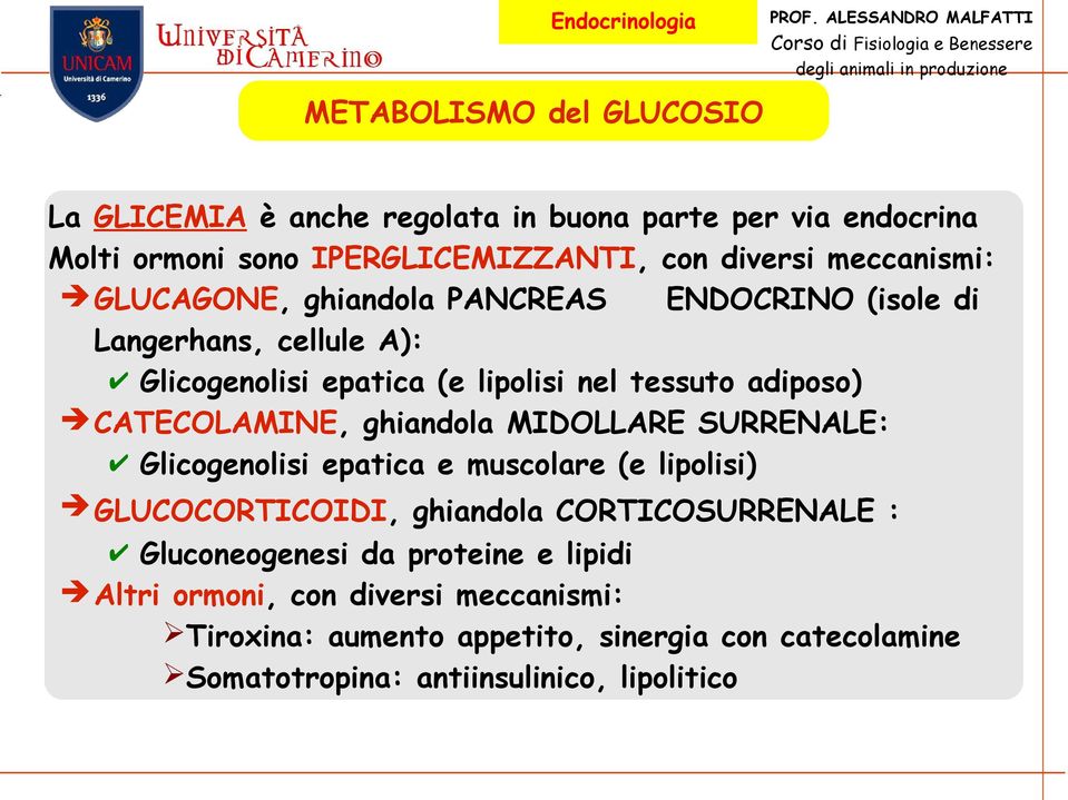 CATECOLAMINE, ghiandola MIDOLLARE SURRENALE: Glicogenolisi epatica e muscolare (e lipolisi) GLUCOCORTICOIDI, ghiandola CORTICOSURRENALE :
