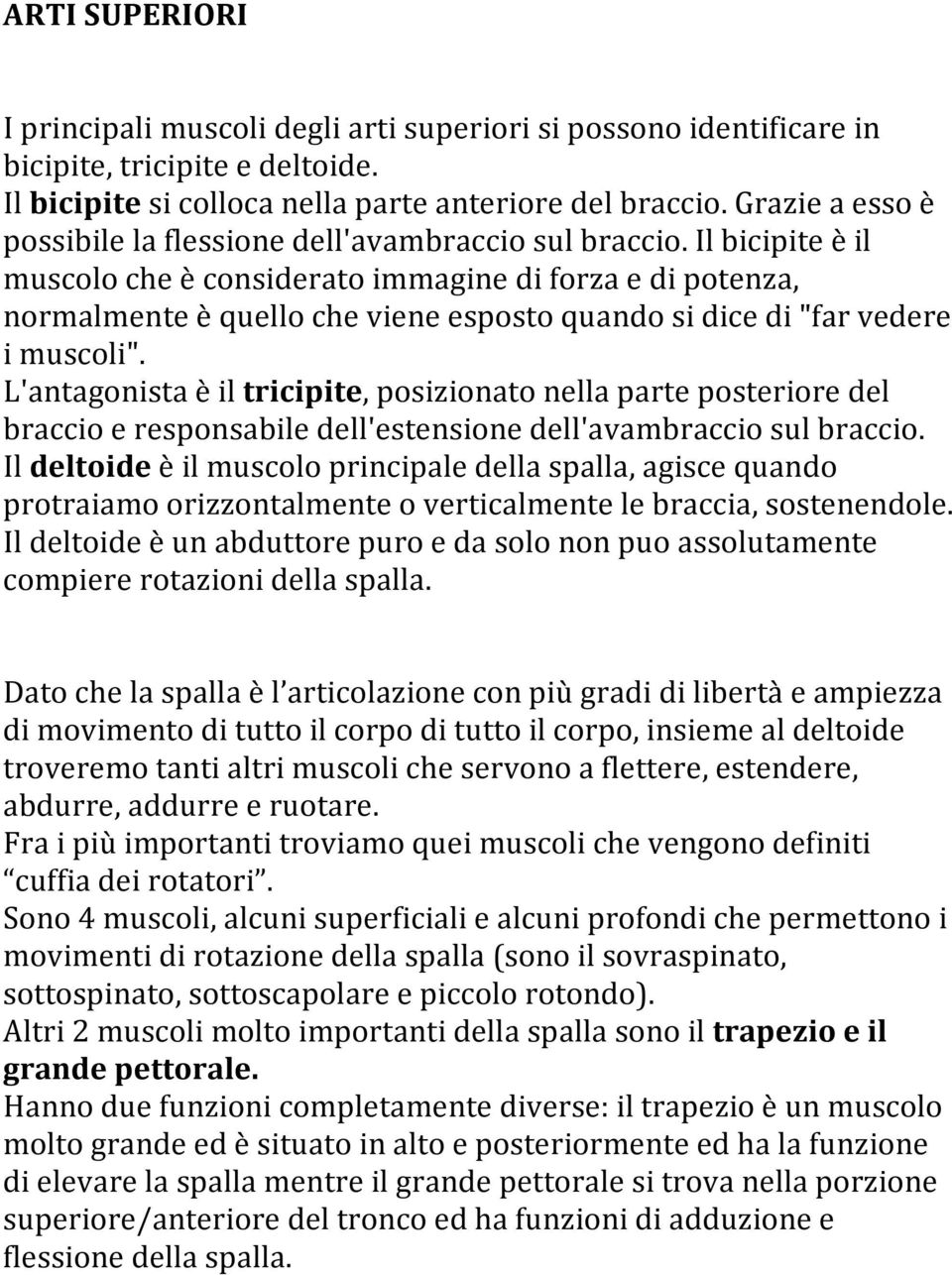 Il bicipite è il muscolo che è considerato immagine di forza e di potenza, normalmente è quello che viene esposto quando si dice di "far vedere i muscoli".