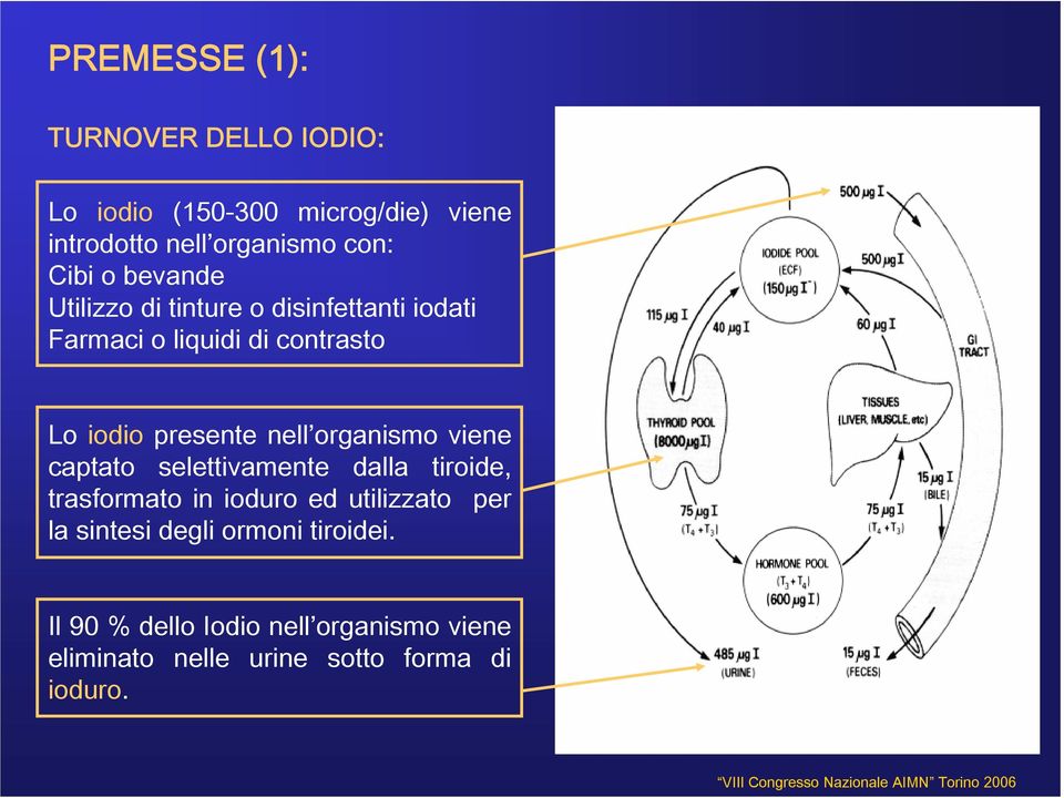 nell organismo viene captato selettivamente dalla tiroide, trasformato in ioduro ed utilizzato per la