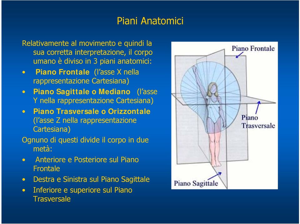 rappresentazione Cartesiana) Piano Trasversale o Orizzontale (l asse Z nella rappresentazione Cartesiana) Ognuno di questi