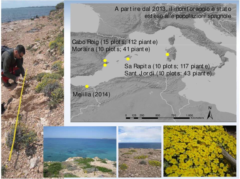 piante) Moraira (10 plots; 41 piante) Sa Rapita (10