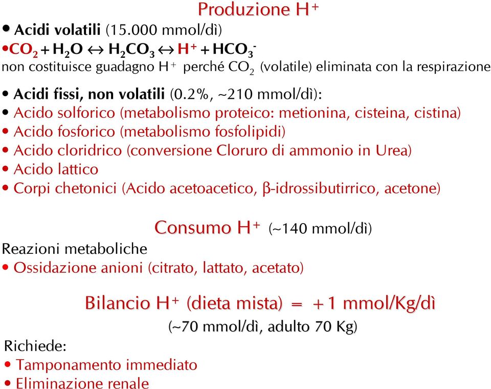 2%, 210 mmol/dì): Acido solforico (metabolismo proteico: metionina, cisteina, cistina) Acido fosforico (metabolismo fosfolipidi) Acido cloridrico (conversione Cloruro