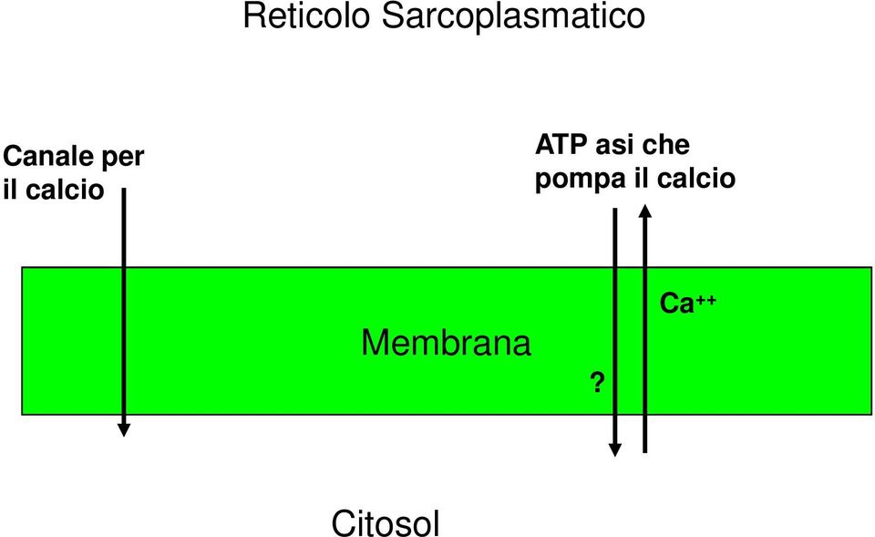 asi che pompa il calcio