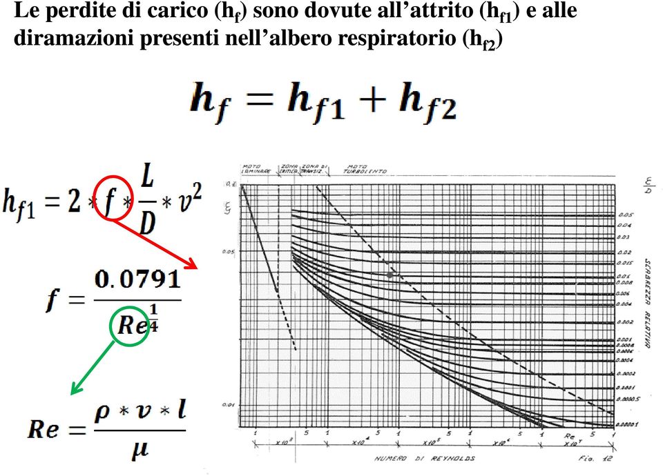 ) e alle diramazioni presenti