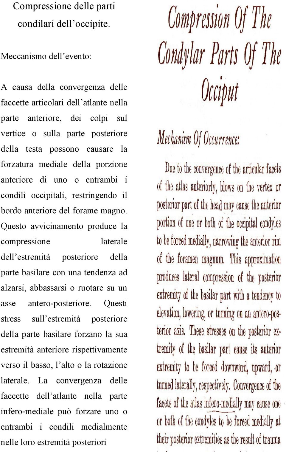 mediale della porzione anteriore di uno o entrambi i condili occipitali, restringendo il bordo anteriore del forame magno.