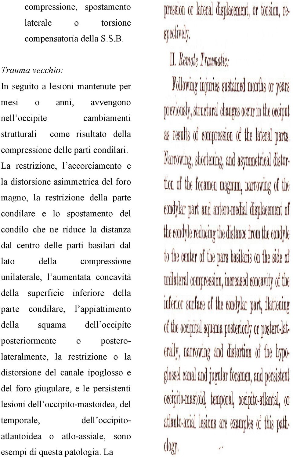 La restrizione, l accorciamento e la distorsione asimmetrica del foro magno, la restrizione della parte condilare e lo spostamento del condilo che ne riduce la distanza dal centro delle parti