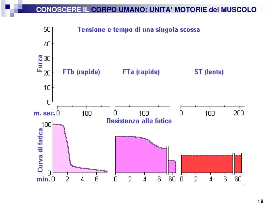 UNITA MOTORIE