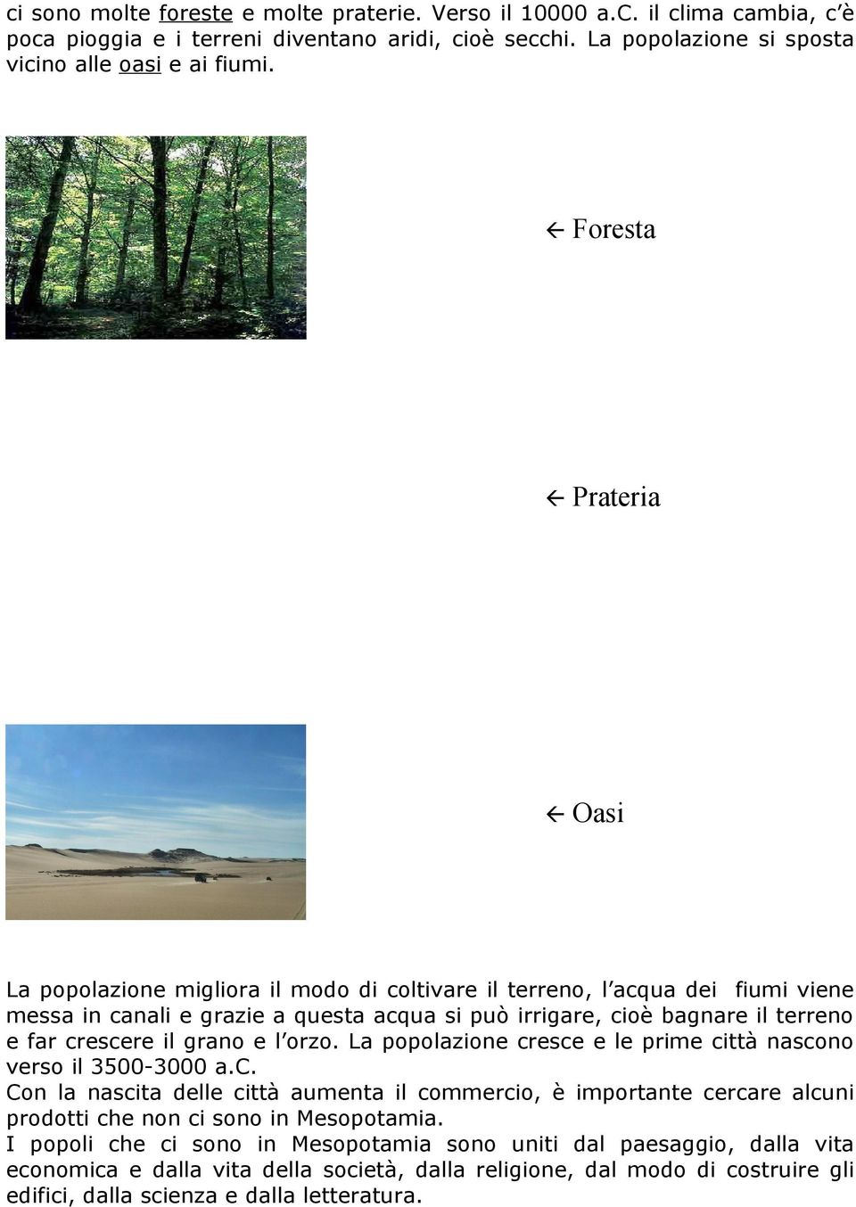 il grano e l orzo. La popolazione cresce e le prime città nascono verso il 3500-3000 a.c. Con la nascita delle città aumenta il commercio, è importante cercare alcuni prodotti che non ci sono in Mesopotamia.