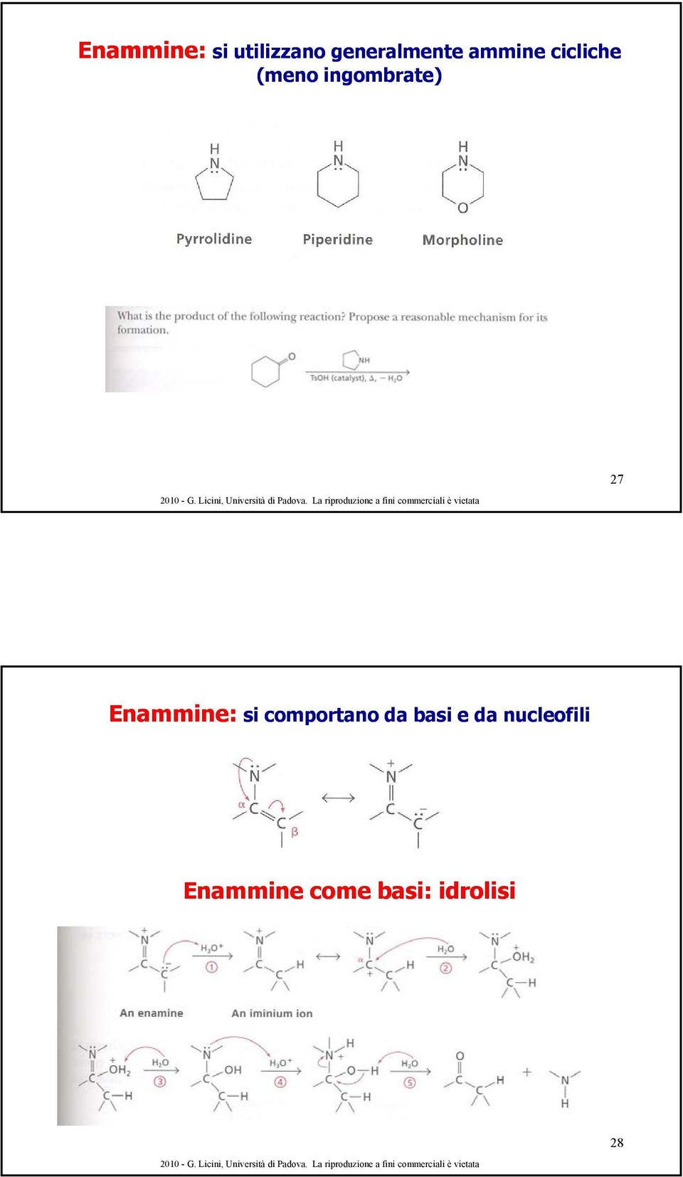 Enammine: si comportano da basi e da