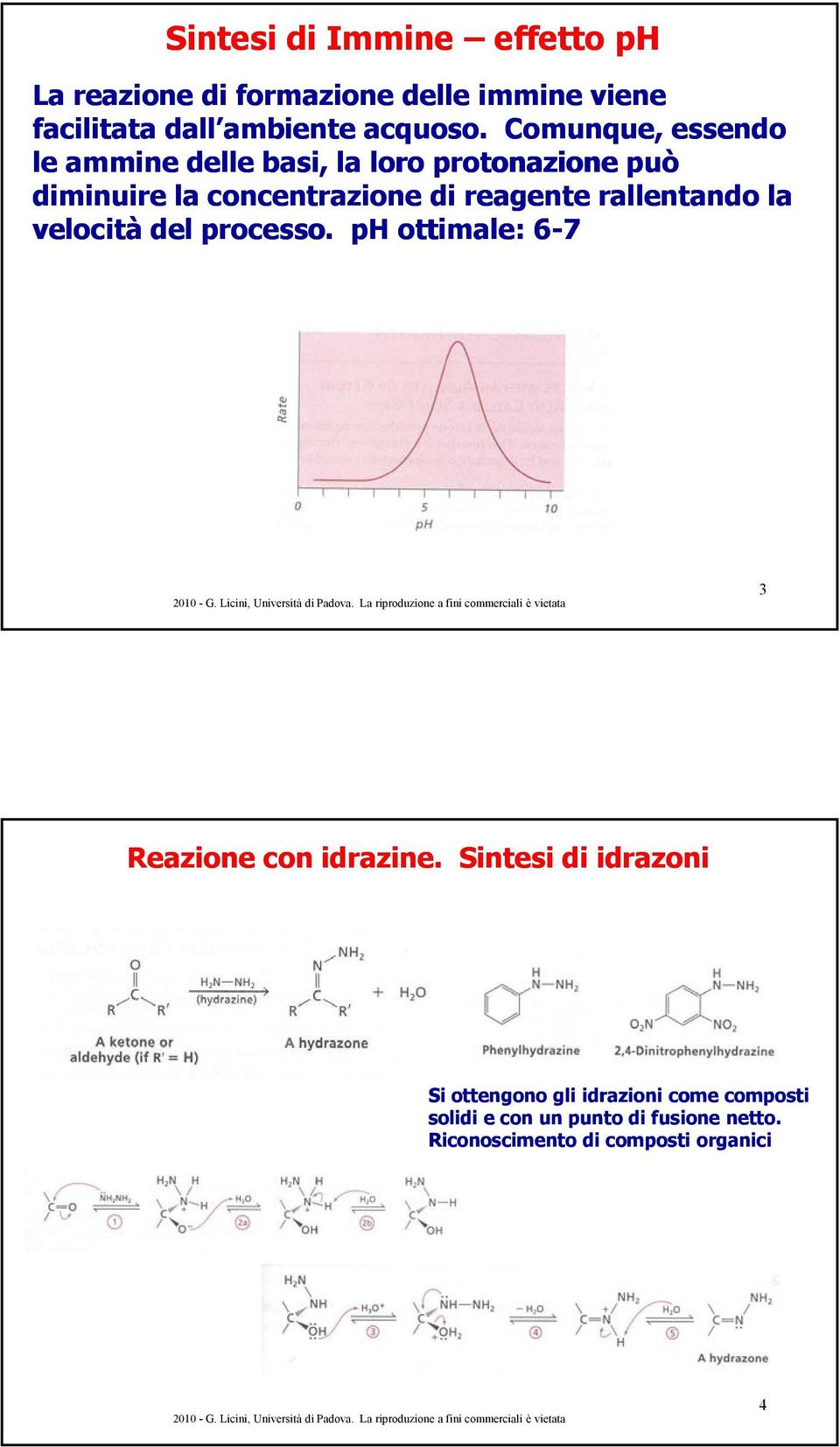 rallentando la velocità del processo. ph ottimale: 6-7 3 Reazione con idrazine.