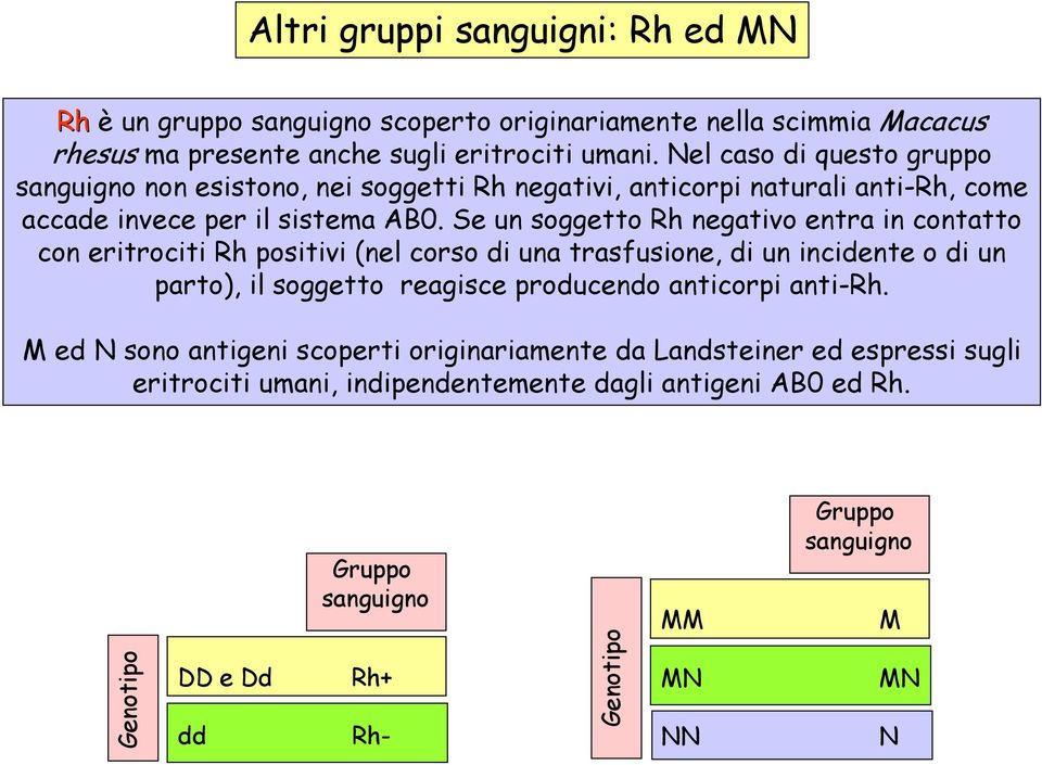 Se un soggetto Rh negativo entra in contatto con eritrociti Rh positivi (nel corso di una trasfusione, di un incidente o di un parto), il soggetto reagisce producendo anticorpi