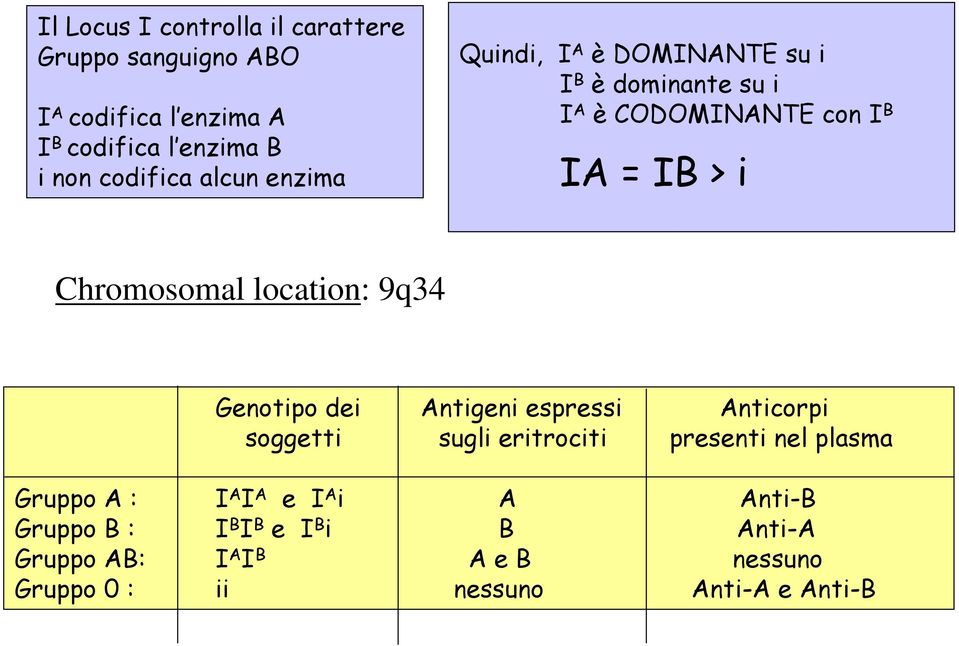 location: 9q34 Genotipo dei Antigeni espressi Anticorpi soggetti sugli eritrociti presenti nel plasma Gruppo A : I A I