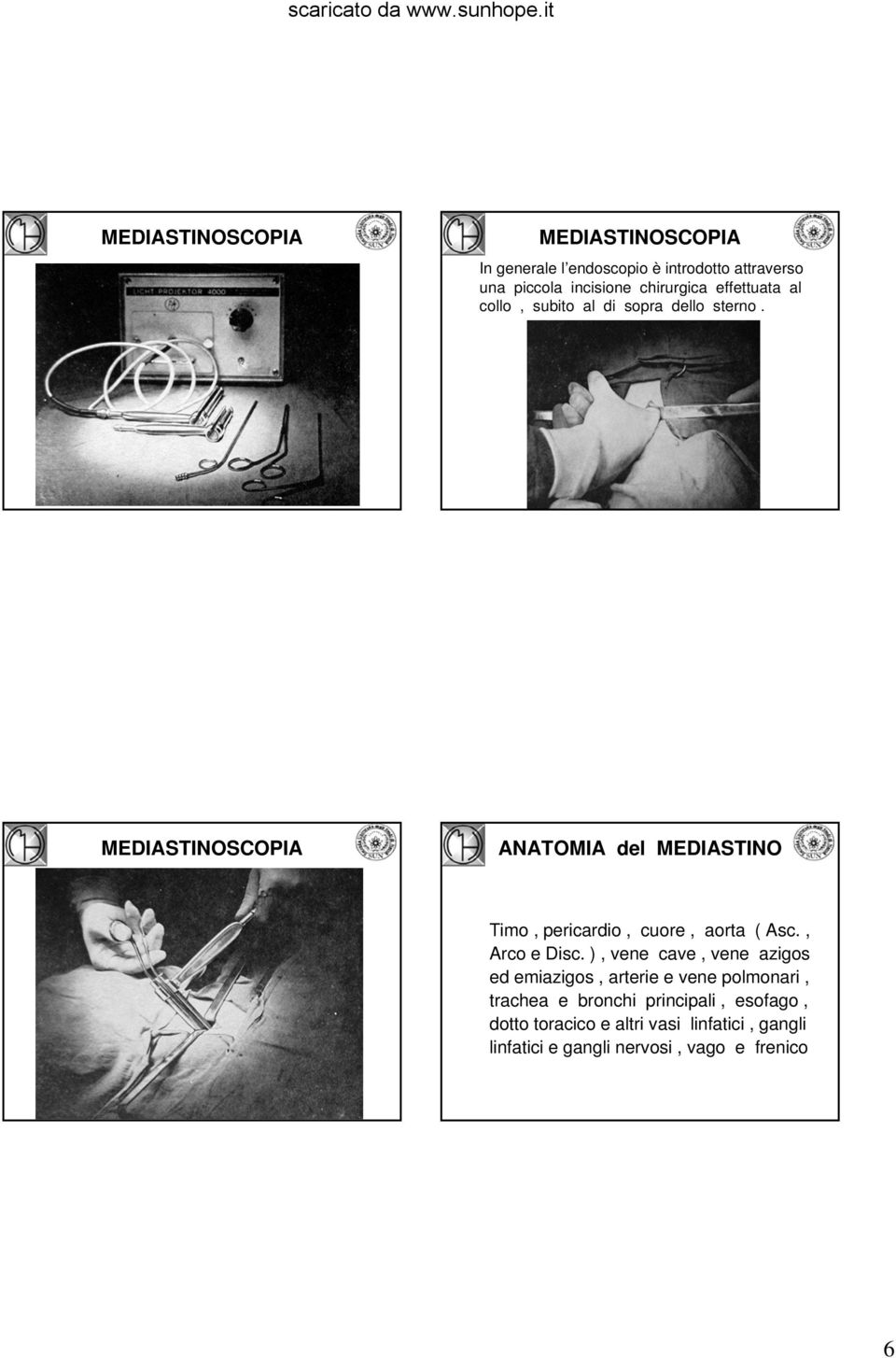 ), vene cave, vene azigos ed emiazigos, arterie e vene polmonari, trachea e bronchi principali,