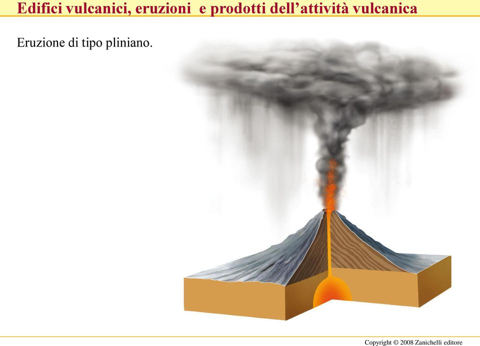 pliniano.