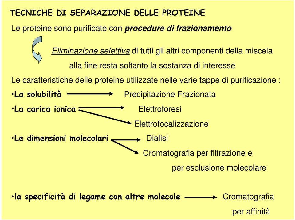 tappe di purificazione : La solubilità Precipitazione Frazionata La carica ionica Elettroforesi Le dimensioni molecolari