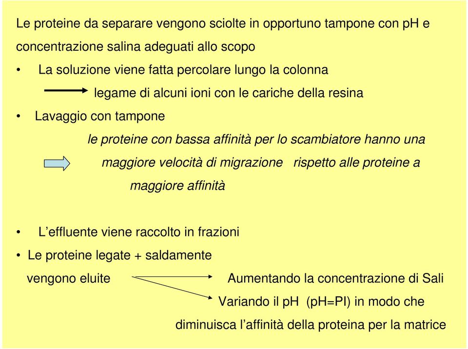 scambiatore hanno una maggiore velocità di migrazione rispetto alle proteine a maggiore affinità L effluente viene raccolto in frazioni Le