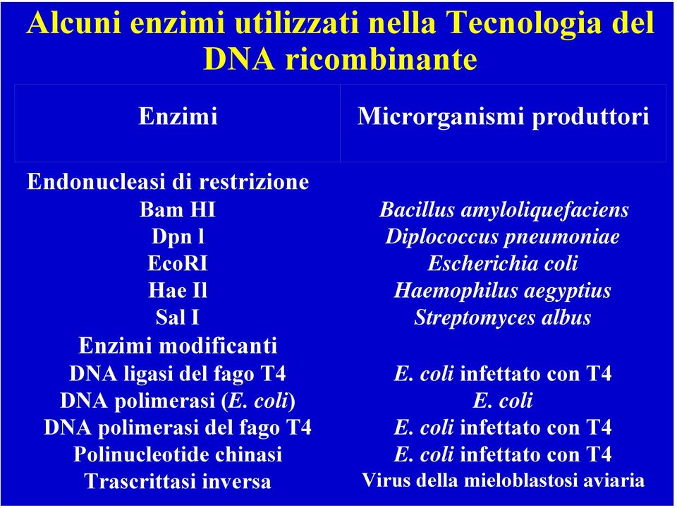 coli) DNA polimerasi del fago T4 Polinucleotide chinasi Trascrittasi inversa Bacillus amyloliquefaciens Diplococcus pneumoniae