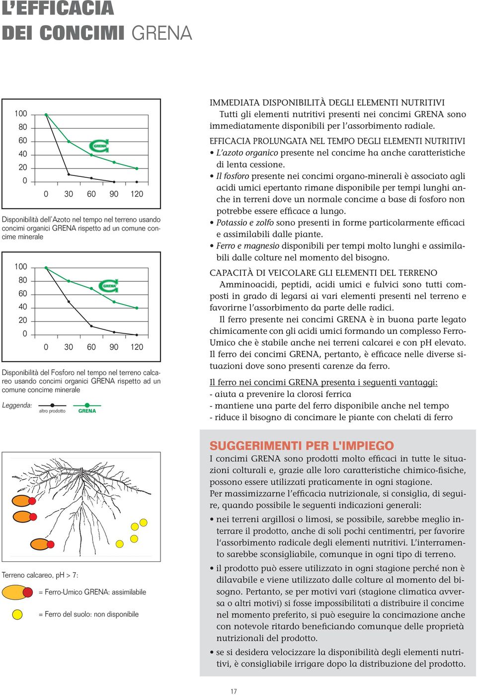 DEGLI ELEMENTI NUTRITIVI Tutti gli elementi nutritivi presenti nei concimi GRENA sono immediatamente disponibili per l assorbimento radiale.
