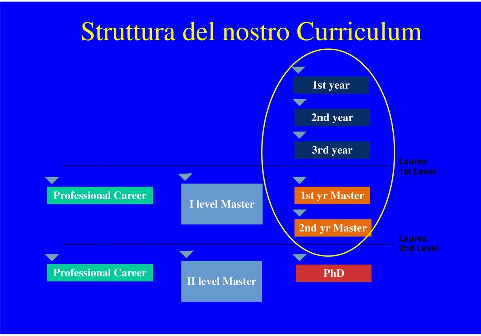 Career I level Master 1st yr Master 2nd yr