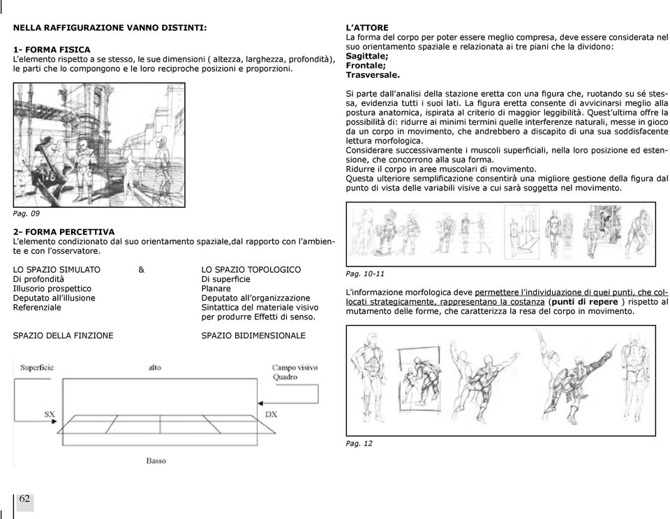 L attore La forma del corpo per poter essere meglio compresa, deve essere considerata nel suo orientamento spaziale e relazionata ai tre piani che la dividono: Sagittale; Frontale; Trasversale.