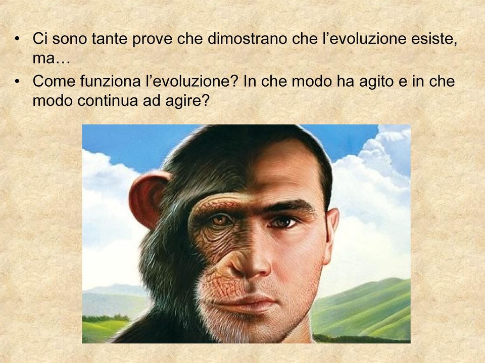 funziona l evoluzione?