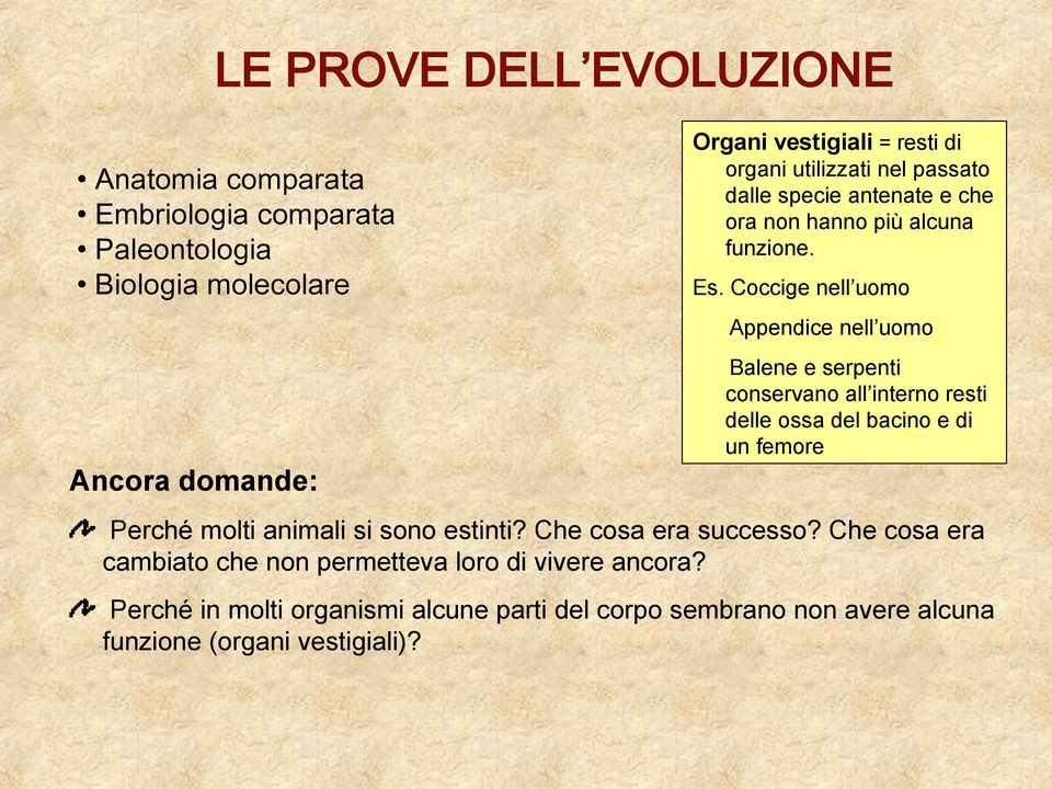 Coccige nell uomo Appendice nell uomo Balene e serpenti conservano all interno resti delle ossa del bacino e di un femore Ancora domande: Perché