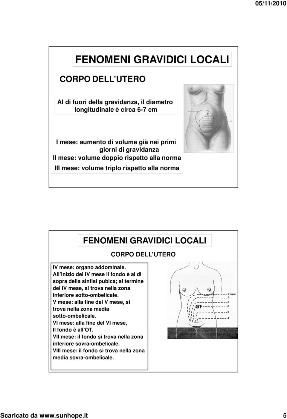 All inizio del IV mese il fondo è al di sopra della sinfisi pubica; al termine del IV mese, si trova nella zona inferiore sotto-ombelicale.