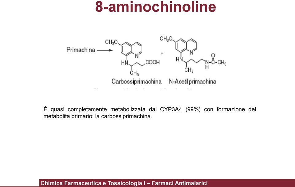 CYP3A4 (99%) con formazione del