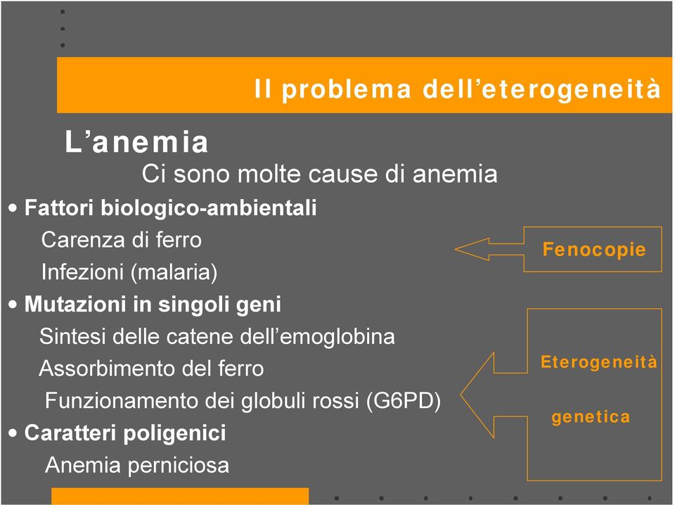 geni Sintesi delle catene dell emoglobina Assorbimento del ferro Funzionamento dei