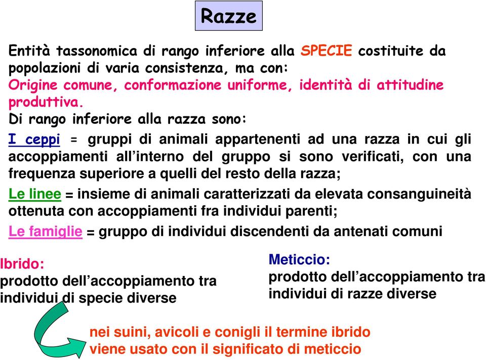 resto della razza; Le linee = insieme di animali caratterizzati da elevata consanguineità ottenuta con accoppiamenti fra individui parenti; Le famiglie = gruppo di individui discendenti da antenati