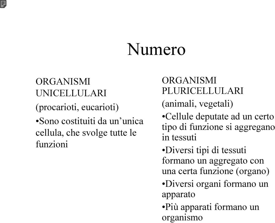 certo tipo di funzione si aggregano in tessuti Diversi tipi di tessuti formano un aggregato