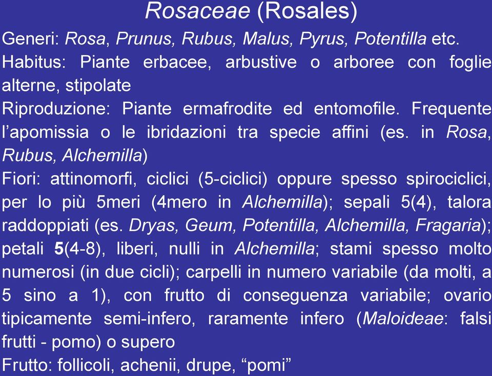 in Rosa, Rubus, Alchemilla) Fiori: attinomorfi, ciclici (5-ciclici) oppure spesso spirociclici, per lo più 5meri (4mero in Alchemilla); sepali 5(4), talora raddoppiati (es.