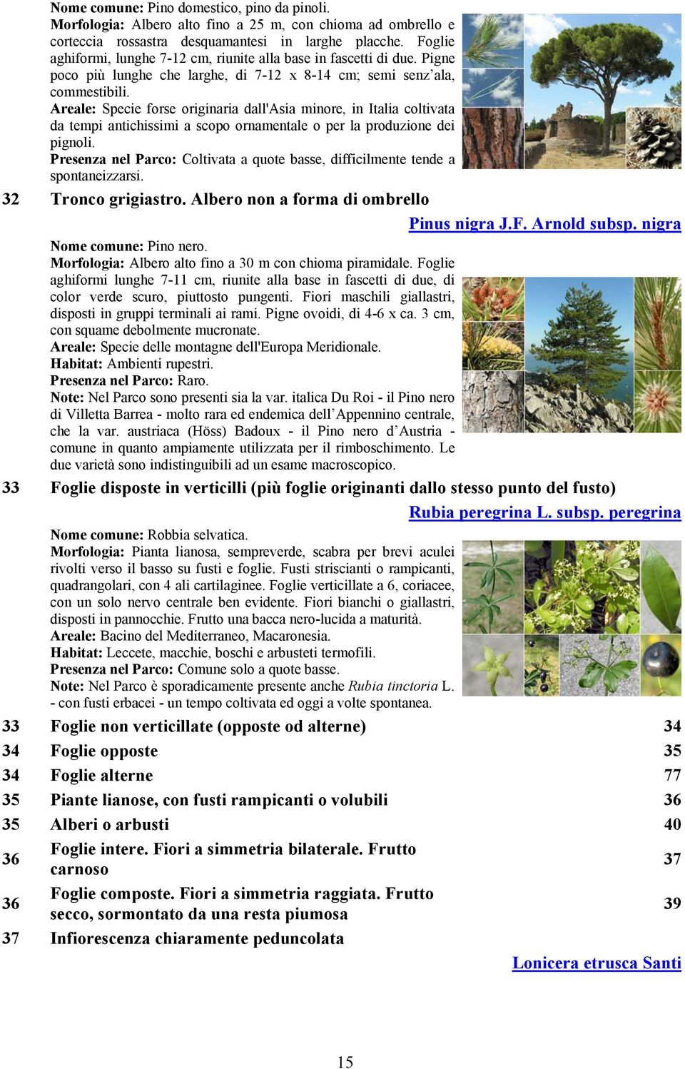 Areale: Specie forse originaria dall'asia minore, in Italia coltivata da tempi antichissimi a scopo ornamentale o per la produzione dei pignoli.