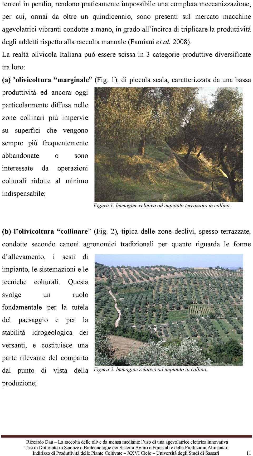 La realtà olivicola Italiana può essere scissa in 3 categorie produttive diversificate tra loro: (a) olivicoltura marginale (Fig.