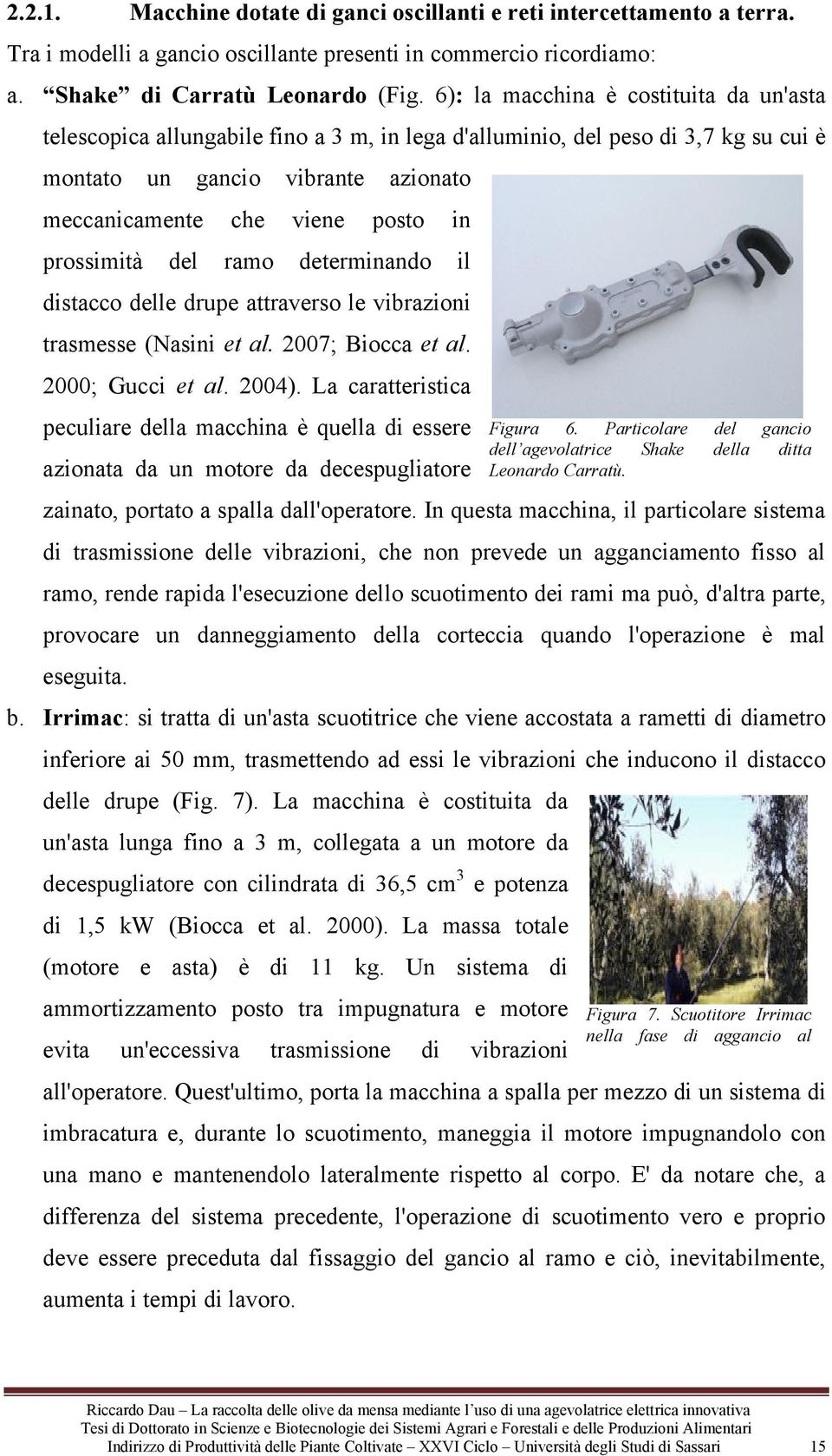 prossimità del ramo determinando il distacco delle drupe attraverso le vibrazioni trasmesse (Nasini et al. 2007; Biocca et al. 2000; Gucci et al. 2004).