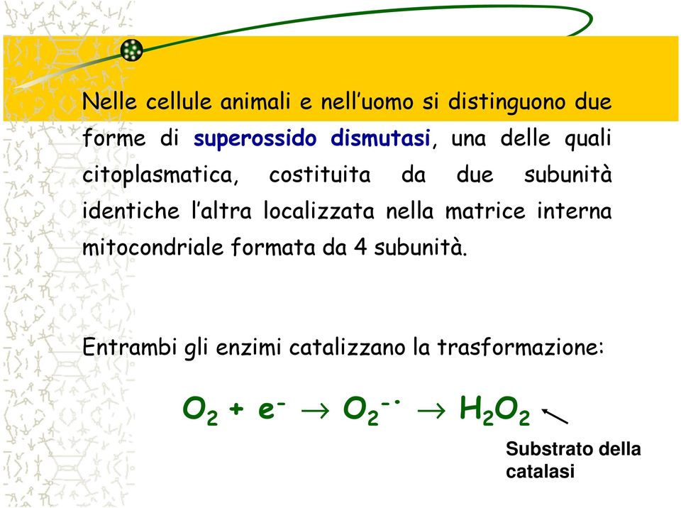 altra localizzata nella matrice interna mitocondriale formata da 4 subunità.